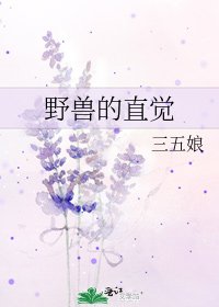 野兽的直觉
