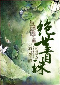 （BG/红楼同人同人）绝世青珠